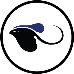 General Vanier School