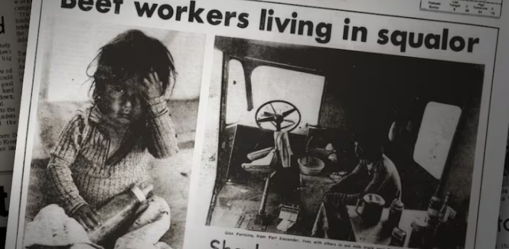 'You had no choice': Indigenous Manitobans shed light on exploitative farm labour program that ran for decades | CBC News