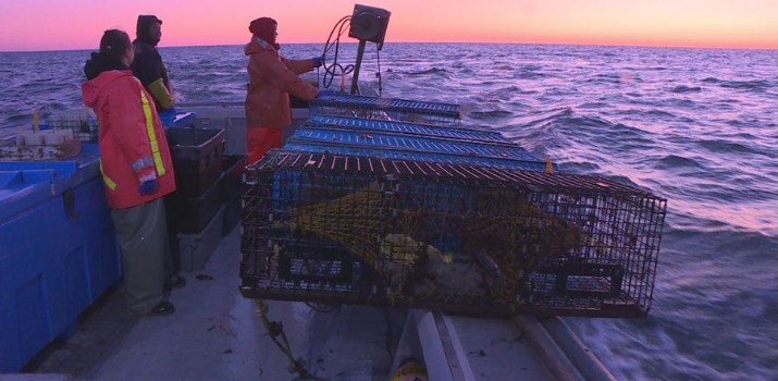 20 years ago the Supreme Court ruled on Mi’kmaq fishing rights, so what has changed? | APTN News