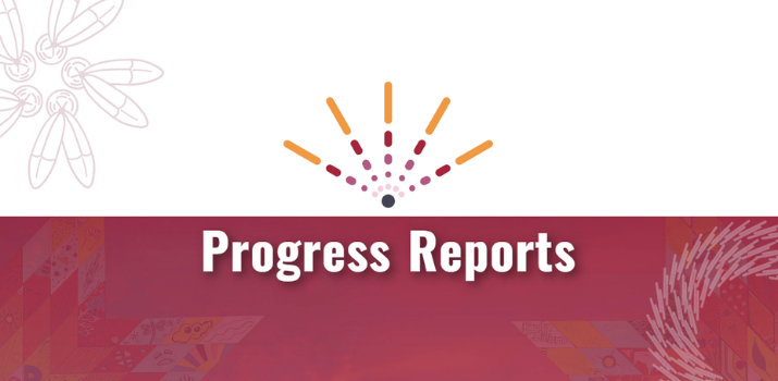 2022 Progress Report on the Missing and Murdered Indigenous Women, Girls, and 2SLGBTQQIA+ People National