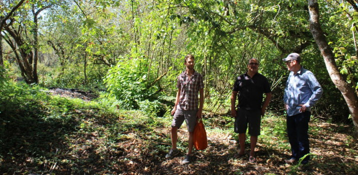 Ancient Indigenous forest gardens promote a healthy ecosystem: SFU study | Simon Fraser University