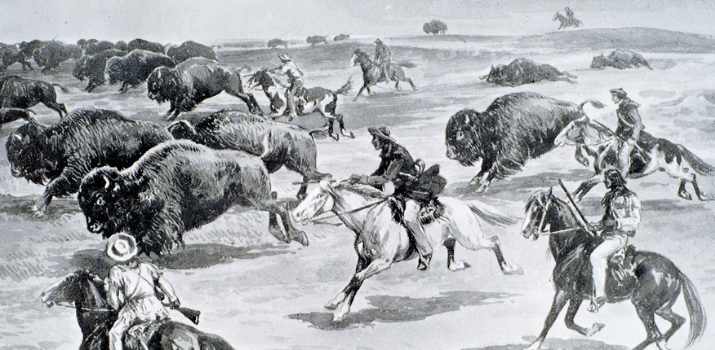 Bison Hunting | Indigenous Peoples Atlas of Canada