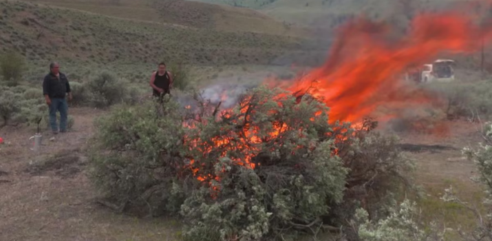 Brûlages traditionnels : combattre les feux de forêt par le feu