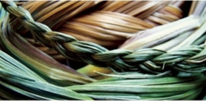 Braiding Sweetgrass: Indigenous Wisdom, Scientific Knowledge, and the Teachings of Plants | Goodreads