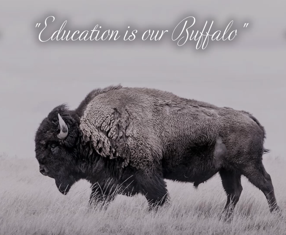 Education is our Buffalo