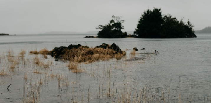 DRIPA or Terra Nullius? The Province Can’t Have It Both Ways | The Tyee