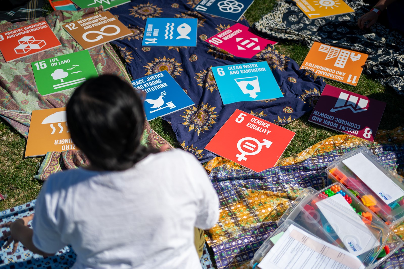 A collage of the UN Sustainable Development Goal icons
