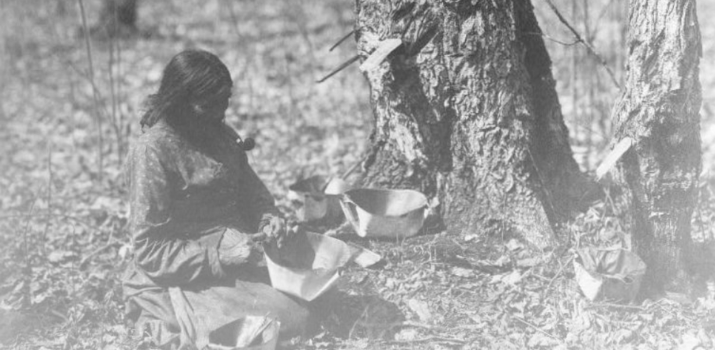 Decolonizing Maple Syrup | Life & Thyme