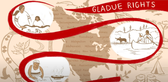 Do You Know Your Gladue Rights? | YouTube