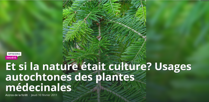 Et si la nature était culture? Usages autochtones des plantes médecinales | Science-Presse