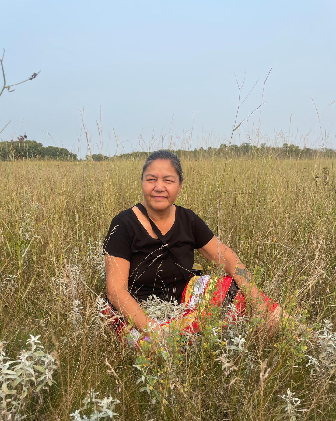Hilda Kent sitting in a field medicine picking
