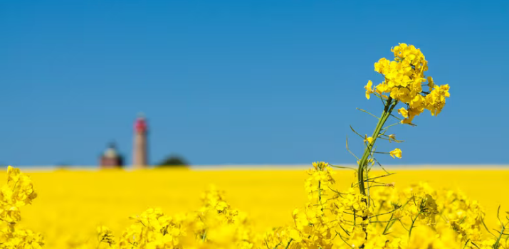 How Blair Stonechild reclaimed his Indigenous spirituality