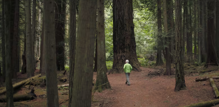 How Indigenous science could help us with our sustainability and diversity crisis | CBC Radio