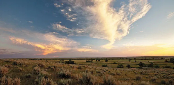 How the Battle of Little Bighorn Was Won | Smithsonian Magazine