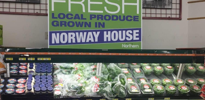Hydroponic garden company starts producing leafy greens in Norway House