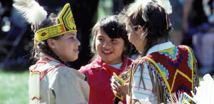 Indigenous Experiences with Racism and its Impacts | NCCIH
