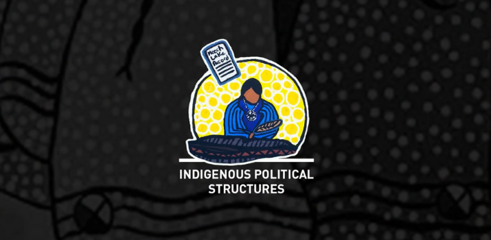 Indigenous Political Structures | Coursera