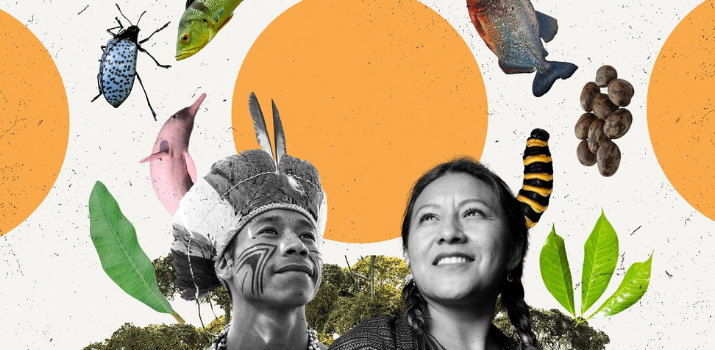 Indigenous knowledge is crucial in the fight against climate change – here’s why | UNDP