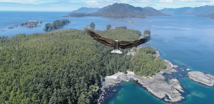 Indigenous-led conservation signals path forward for Canada's first marine protected area network