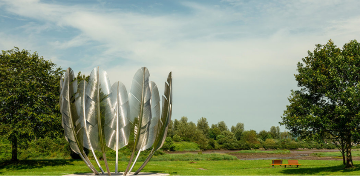 Irish Return an Old Favor, Helping Native Americans Battling the Virus