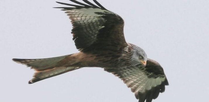 It’s taken thousands of years, but Western science is finally catching up to Traditional Knowledge