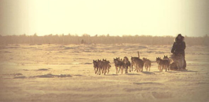 Kiss of the Fur Queen by Tomson Highway | CBC Books