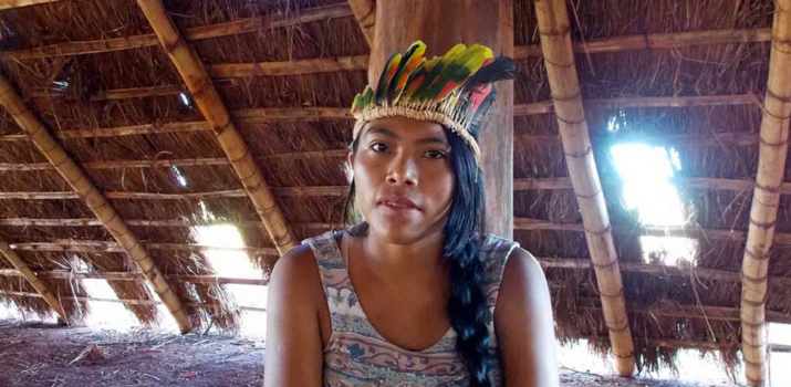 Landmark decision: Brazil Supreme Court sides with Indigenous land rights | Mongabay News