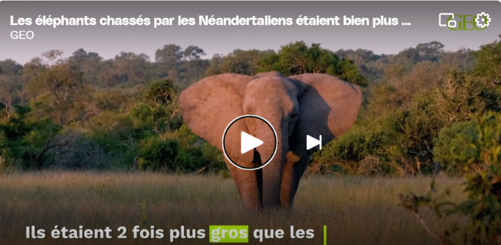 "Les hommes chassent et les femmes cueillent" : le mythe démonté par une étude | GEO