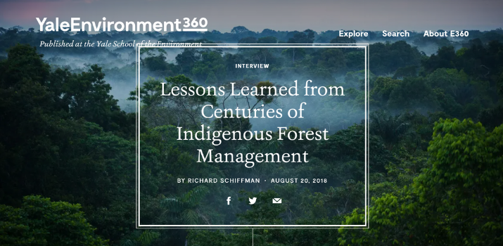 Lessons Learned from Centuries of Indigenous Forest Management | Yale Environment 360 