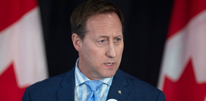 MacKay faces backlash over now-deleted tweet that critics say promoted vigilantism | CBC News