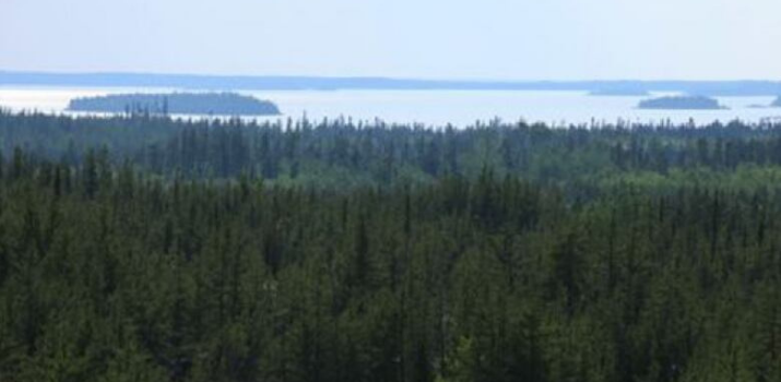 Manitoba's east-side boreal forest gets 2 big endorsements for UNESCO World Heritage Site status | CBC News