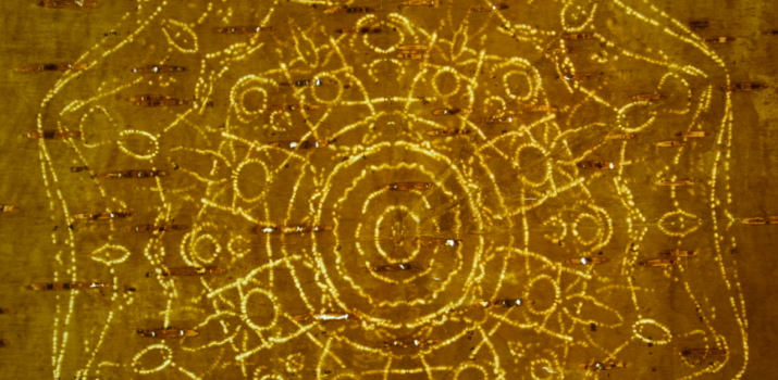 Mawkina’masultinej: Let’s Learn Together! | Show Me Your Math