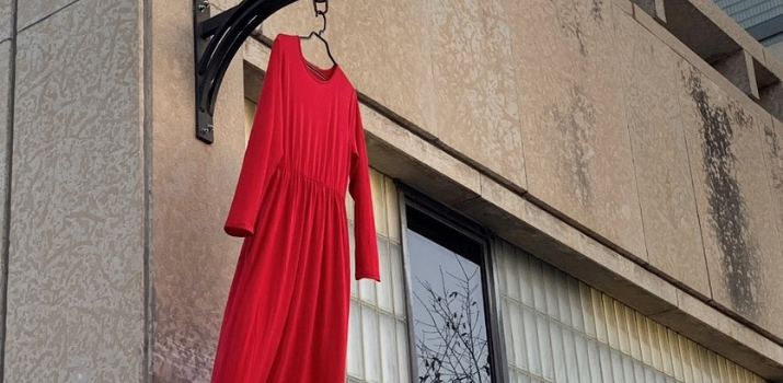 Missing and Murdered Indigenous Women and Girls and Two-Spirited Peoples (MMIWG2S+)