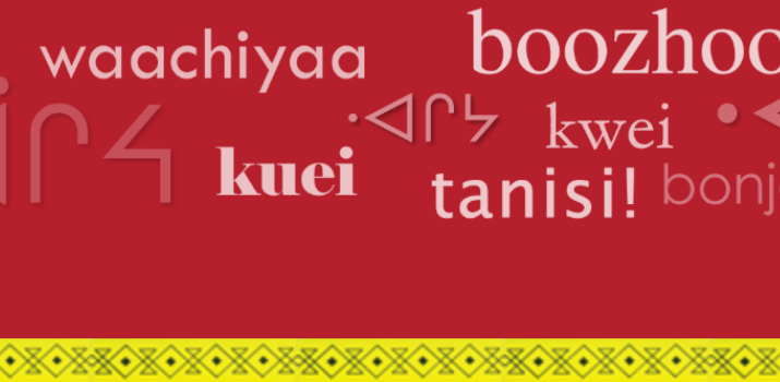 Nishnaabemwin Online Dictionary: Public