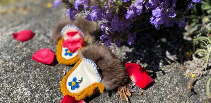 Non-Indigenous people — here’s what you can do, right now | IndigiNews