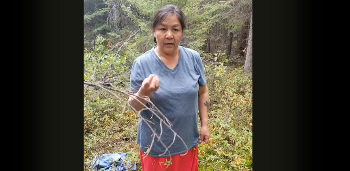 Picking Muskeg/Labrador Tea with Kokum Hilda | YouTube
