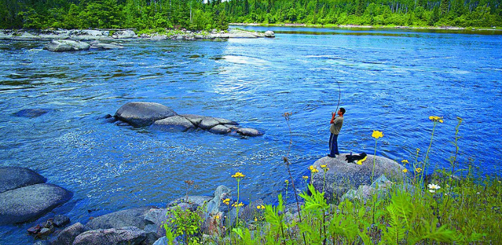 Report on mercury poisoning reveals awful toll of government inaction | iPolitics