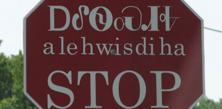 Roadblocks to effective indigenous language development. | âpihtawikosisân