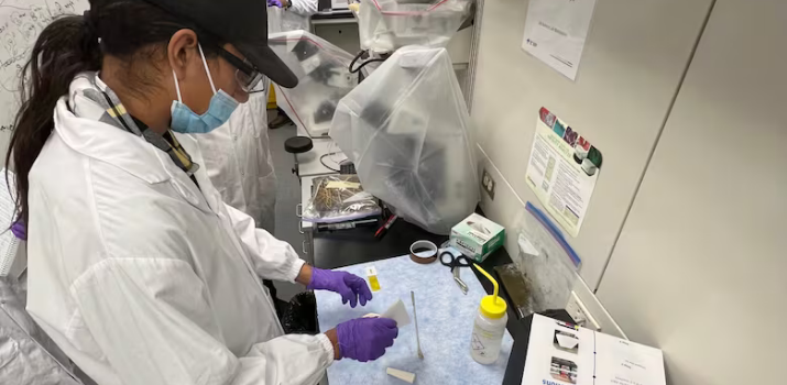 Sask. First Nation high school students learn about bison herd through synchrotron | CBC News
