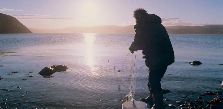 Si le temps le permet | ONF