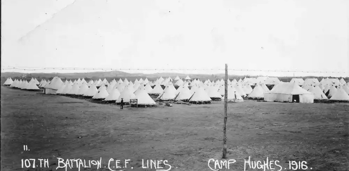 The Timber Wolves of war | Winnipeg Free Press