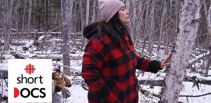 The power of a tree: why birch and its bark are so important to Anishinaabe culture - Wiigwaasabak | YouTube