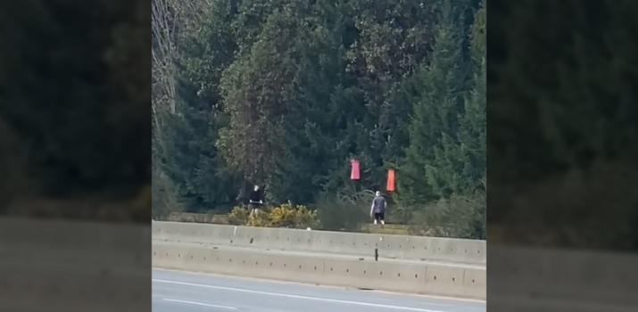 Two men seen removing red dresses hanging on trees along Vancouver Island Highway (VIDEO)