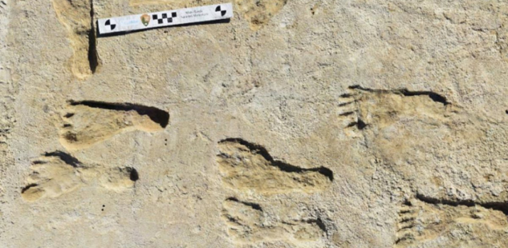 Une preuve inédite (et incontestable) que des humains étaient déjà présents en Amérique il y a 23.000 ans | Sciences et Avenir