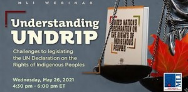 Understanding UNDRIP | YouTube