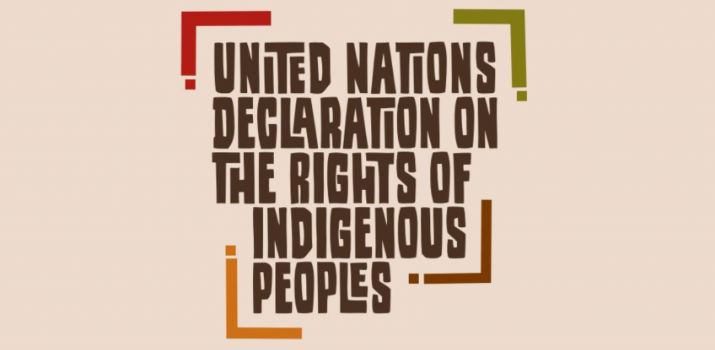 United Nations Declaration on the Rights of Indigenous Peoples | United Nations