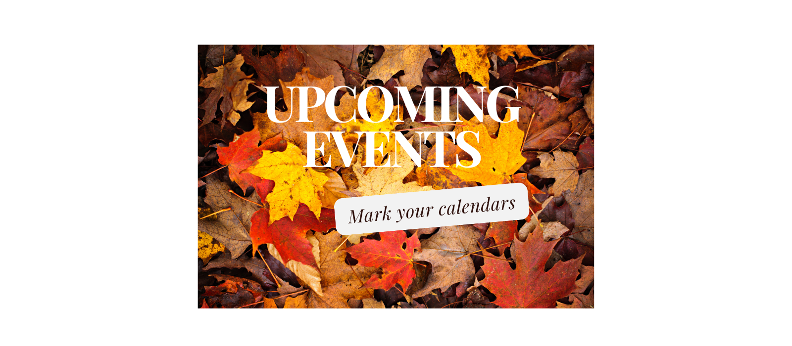 Upcoming%20Events%20smaller%20fall%202024-1.png