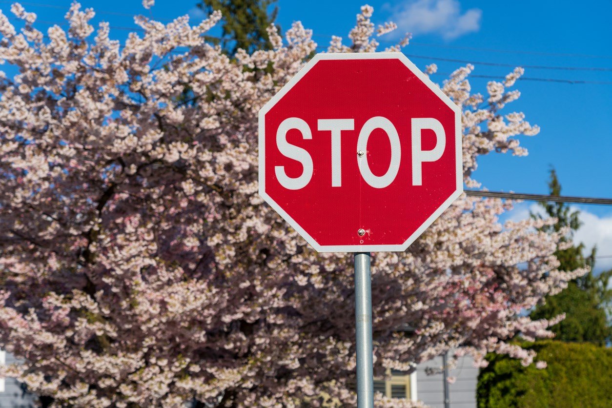 Traffic signs near a school