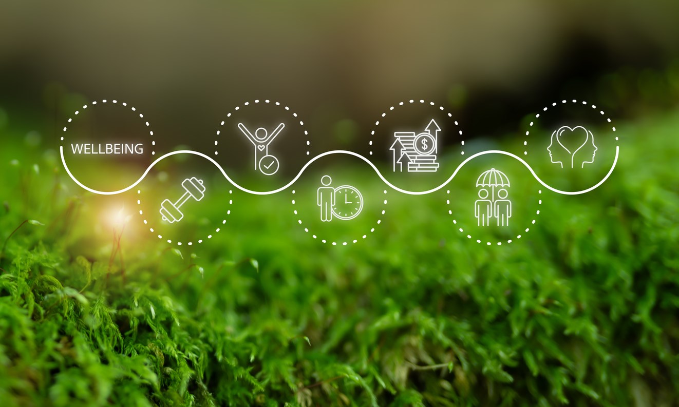 Graphic of well-being icons over greenery background