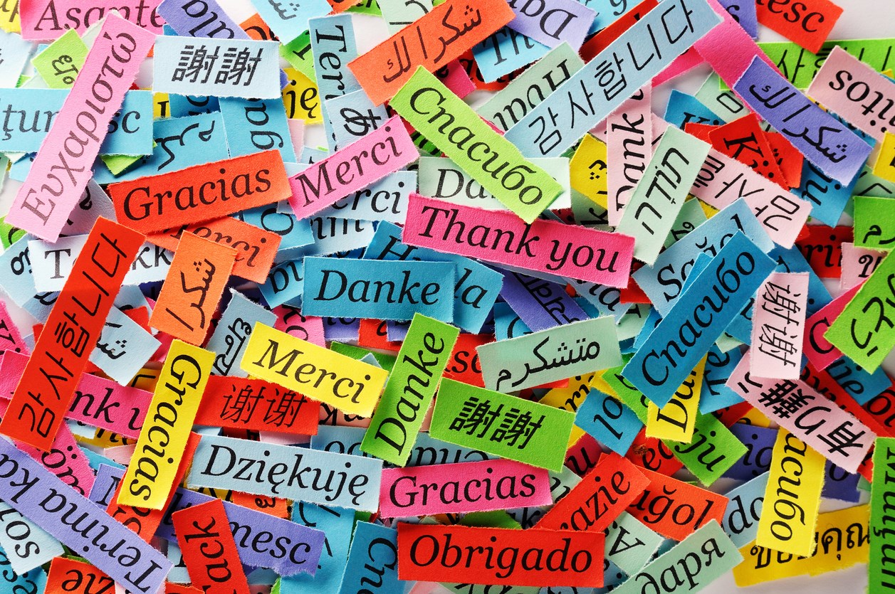 pieces of paper with Thank you written in many different languages